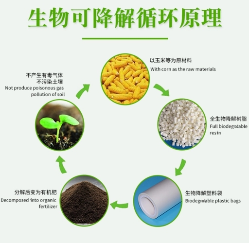 可降解日化包装材料有哪些(沐浴液瓶子生物降解的原理)
